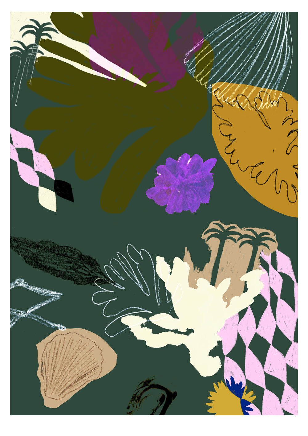 Beach Fragments