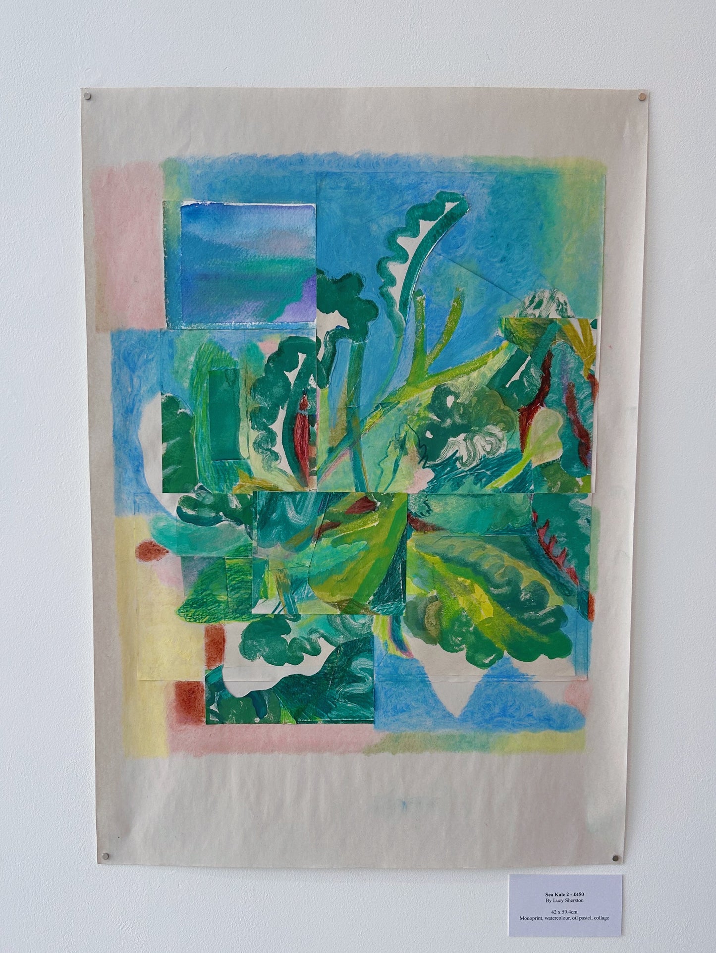 Sea Kale #2